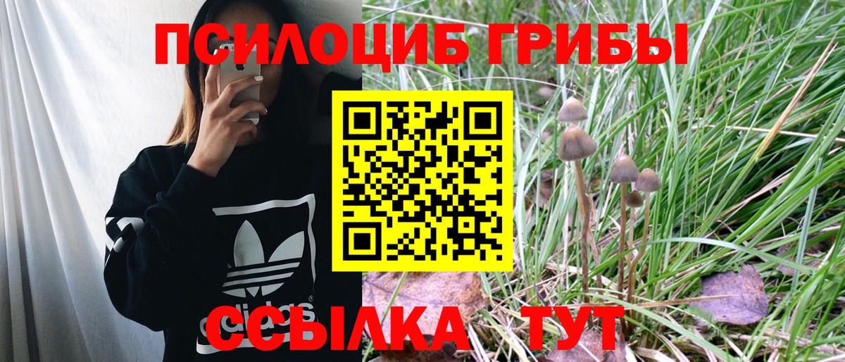 Лесозаводск  Псилоцибиновые грибы MAGIC MUSHROOMS  Галлюциногенные грибы ЛСД  Вход с VPN 