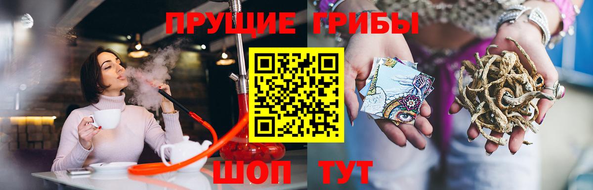Псилоцибиновые грибы GOLDEN TEACHER Лесозаводск